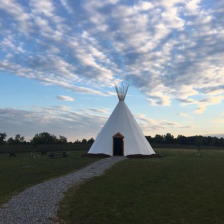 Dreamcatcher Glamping Tipi Hotell Farmville Eksteriør bilde